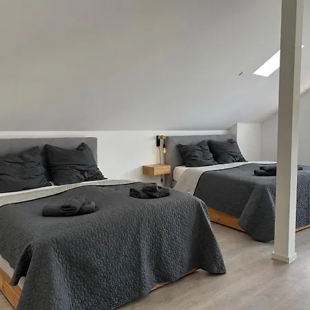 Neuwertiges 2-zimmer-apartment, Barrierefrei, Ebenerdig Ohne Aufzug, 51 Qm, Bis 4 Gäste-kerpen Apartment Kerpen (North Rhine-Westphalia)